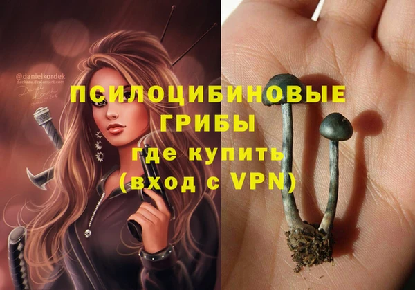 дмт Аркадак