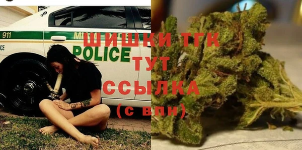 дмт Аркадак