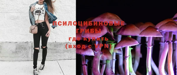 спиды Арсеньев