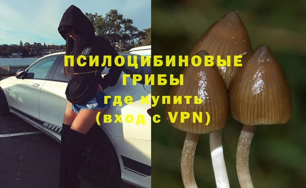 дмт Аркадак