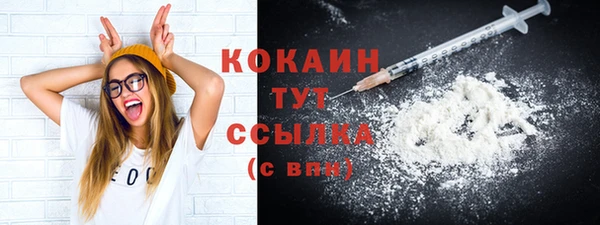 дмт Аркадак