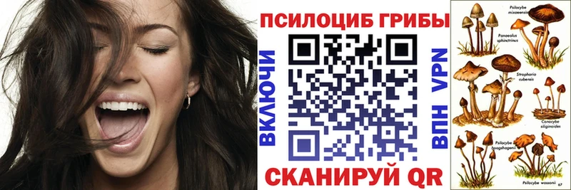 Галлюциногенные грибы Cubensis  Питкяранта 