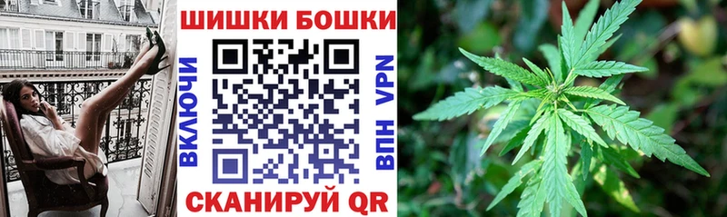 Бошки Шишки план  мега   Питкяранта 
